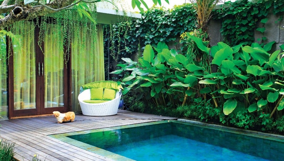 Tips Untuk Mempercantik Kolam Renang